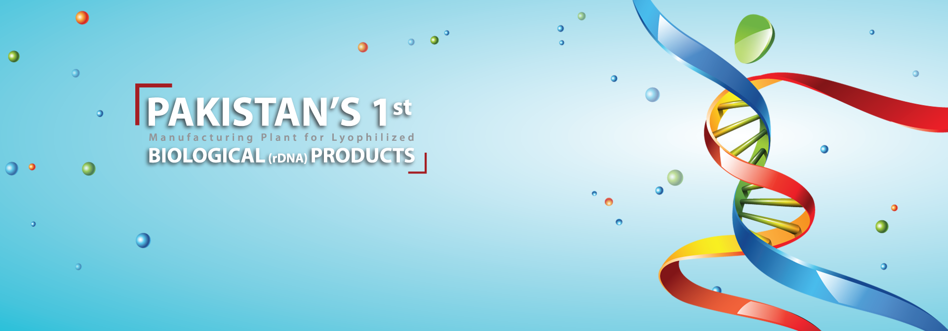 web banner-3