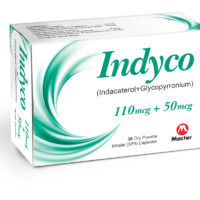 Indyco